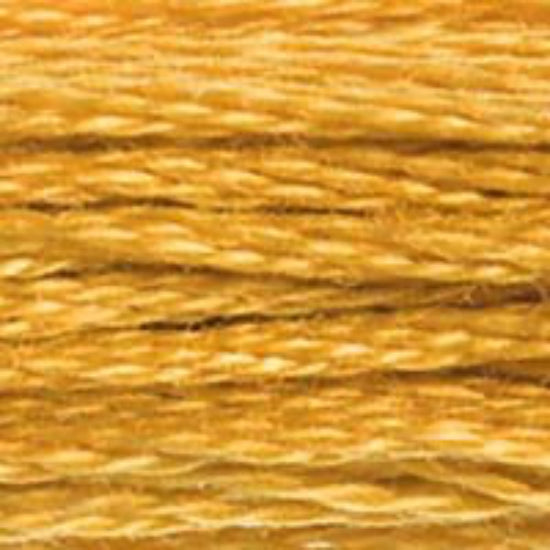 DMC-783 Medium Topaz  6 Strand Floss