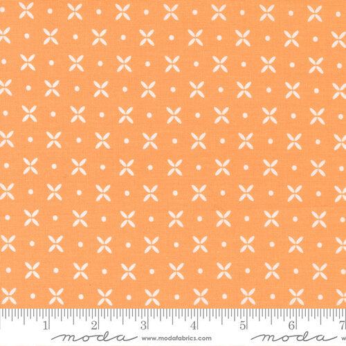 Simply Delightful Orange Peel | 37641 22
