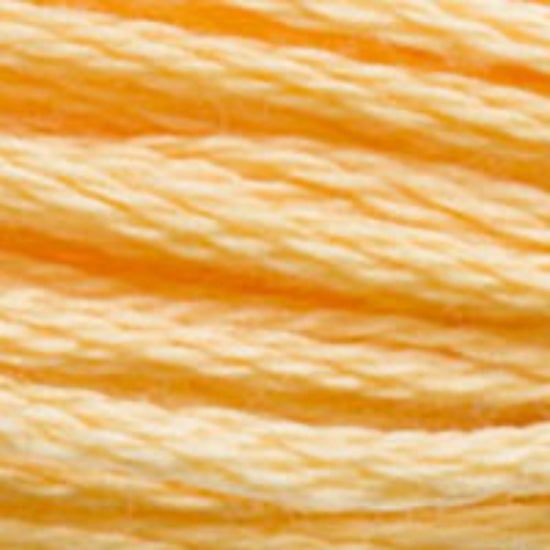 DMC-3855 Light Autumn Gold  6 Strand Floss