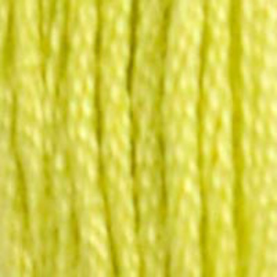 DMC-12 Tender Green 6 Strand Floss