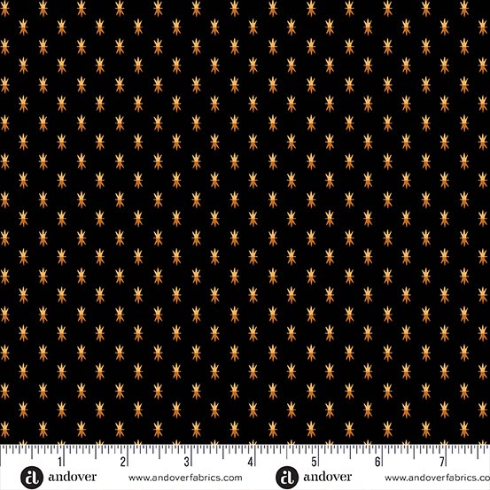 Pumpkin Licorice | A-1106-K | Black