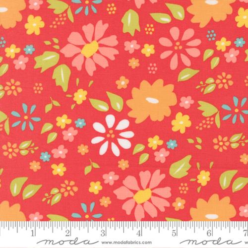 Delightfully Yours Geranium | 37700 16