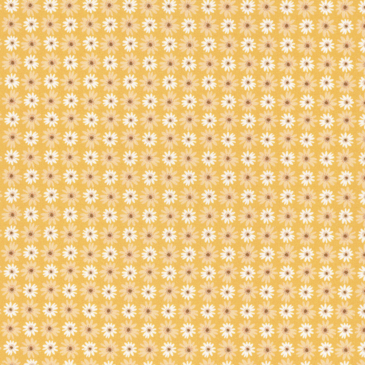 Nature Sings | NS24105 | Daisy Bunch - Yellow