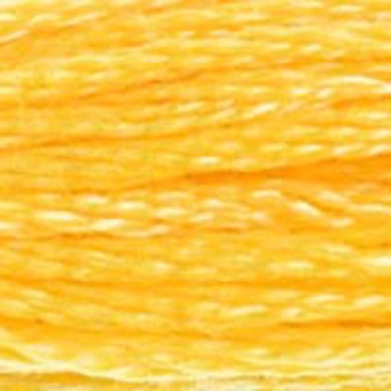 DMC-743 Medium Yellow  6 Strand Floss