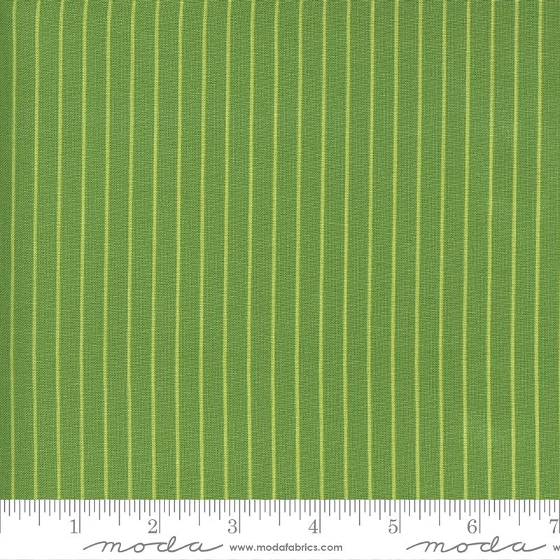 Sunday Stroll Green | 55228 20